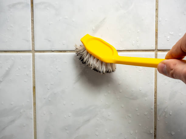 Best Home Mold Removal  in Champaign, IL