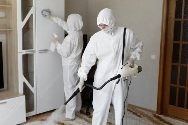 Best Crawl Space Mold Removal  in Champaign, IL
