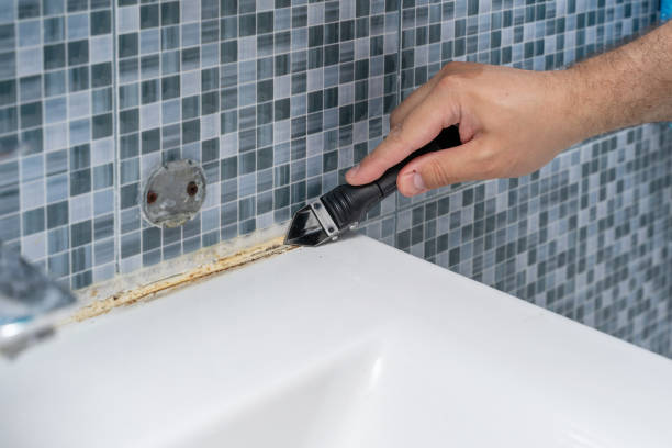 Mold Removal Process in Champaign, IL